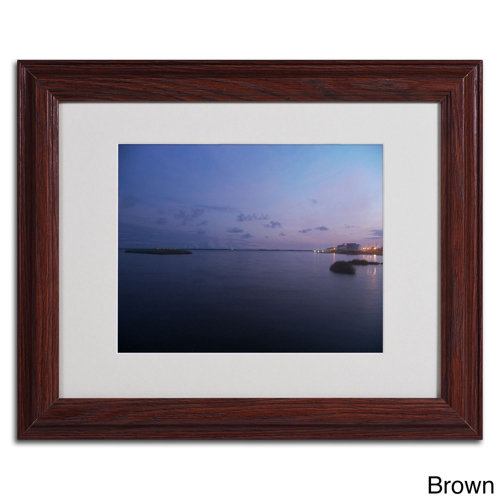 Trademark Fine Art "Pure Elegance" Canvas Art by Monica Fleet, White Matte, Black Frame