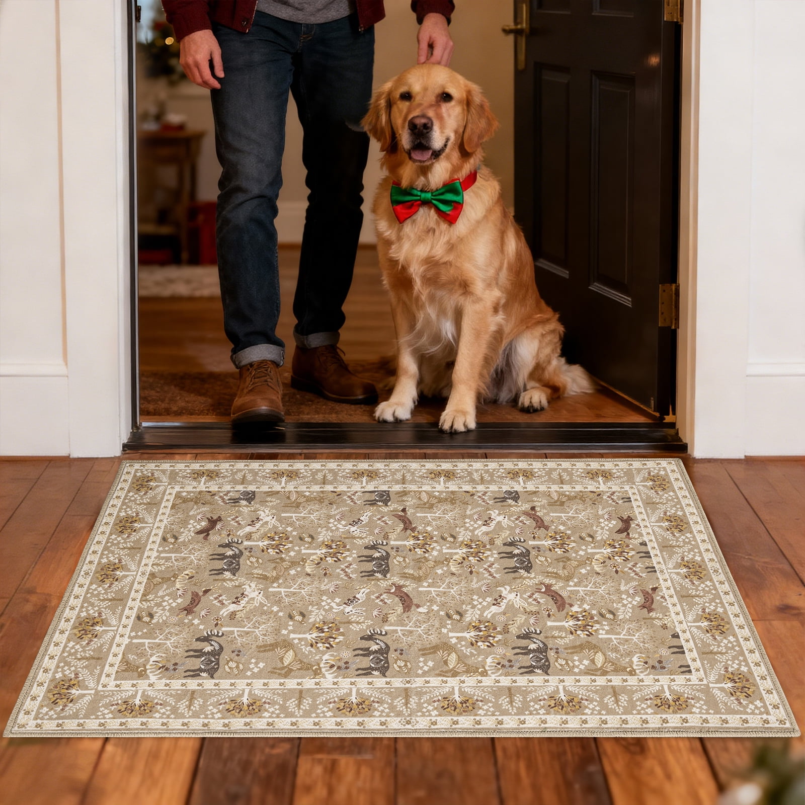 2x3 Indoor Entryway Rug, Small Washable Area Rug Non-Slip Vintage Door Mat Entrance, Animal Low Pile Floor Carpet for Door, Entrance, Hallway,Farmhouse,Bathroom, Bedroom