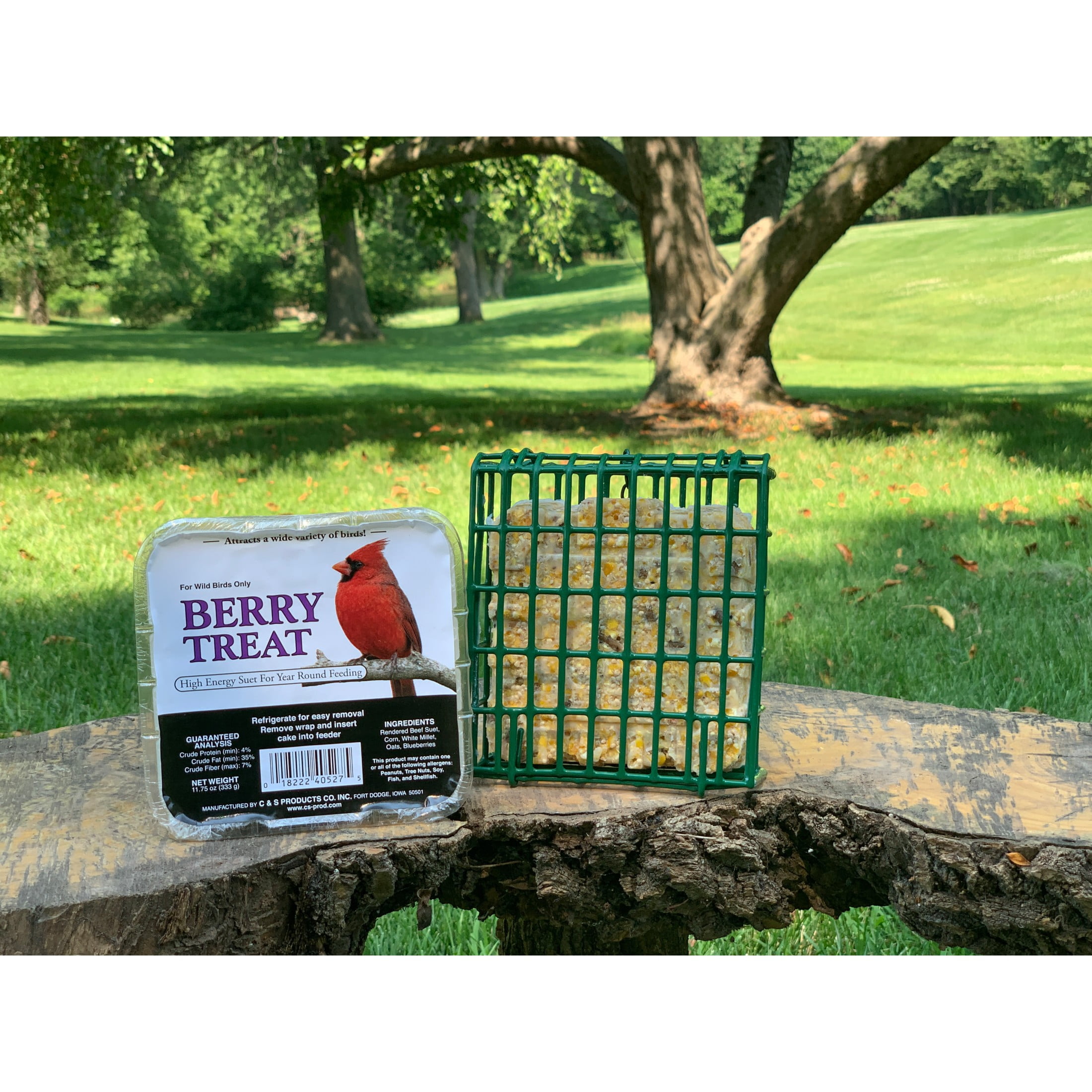C&S Berry Treat Suet, 11.75 oz Cake, Fresh Wild Bird Food