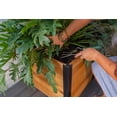 thumbnail image 3 of Vita Mezza 22"L x 22"W x 22"H Cedar Cube Planter, Golden Brown, VT17711, 3 of 12