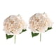 thumbnail image 2 of Ramo de flores de 2 piezas para San Valentín, regalo para el hogar, hortensia, flores para fiesta champán, 2 of 9