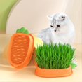thumbnail image 3 of Hollow-out Catgrass Planter Box Layered Cat Grass Growing Sprouting Container For Home Indoor/YY, 3 of 5
