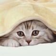 thumbnail image 4 of Unique Bargains Flannel Fleece Blanket Soft Warm Luxury Hemmed, 4 of 10