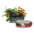 thumbnail image 2 of Kit de Cultivo BUZZY Mi Primer Jardín Tomate y Caléndula para Interior, 2 of 6