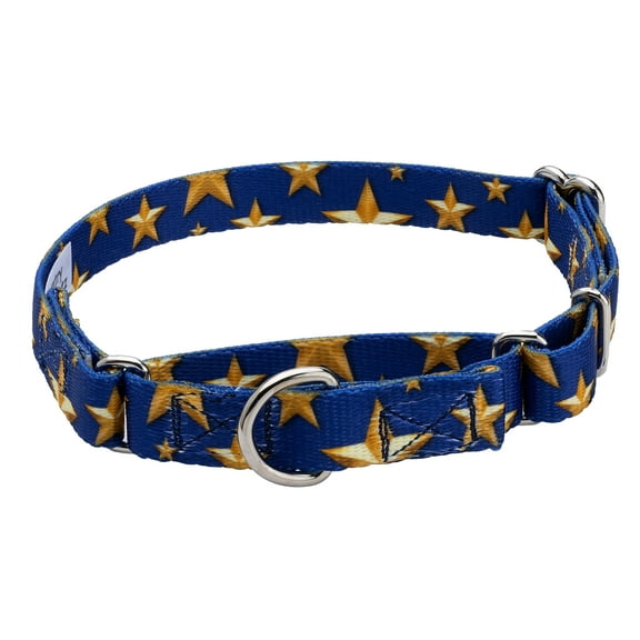 Country Brook Petz® Duty Honor Country Martingale Dog Collar, 2XS