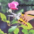 thumbnail image 4 of Sarapandan 8" Stainless Steel Pruning Shears Cutter Home Gardening Plant Scissor Branch Pruner Hand Tool, 4 of 8