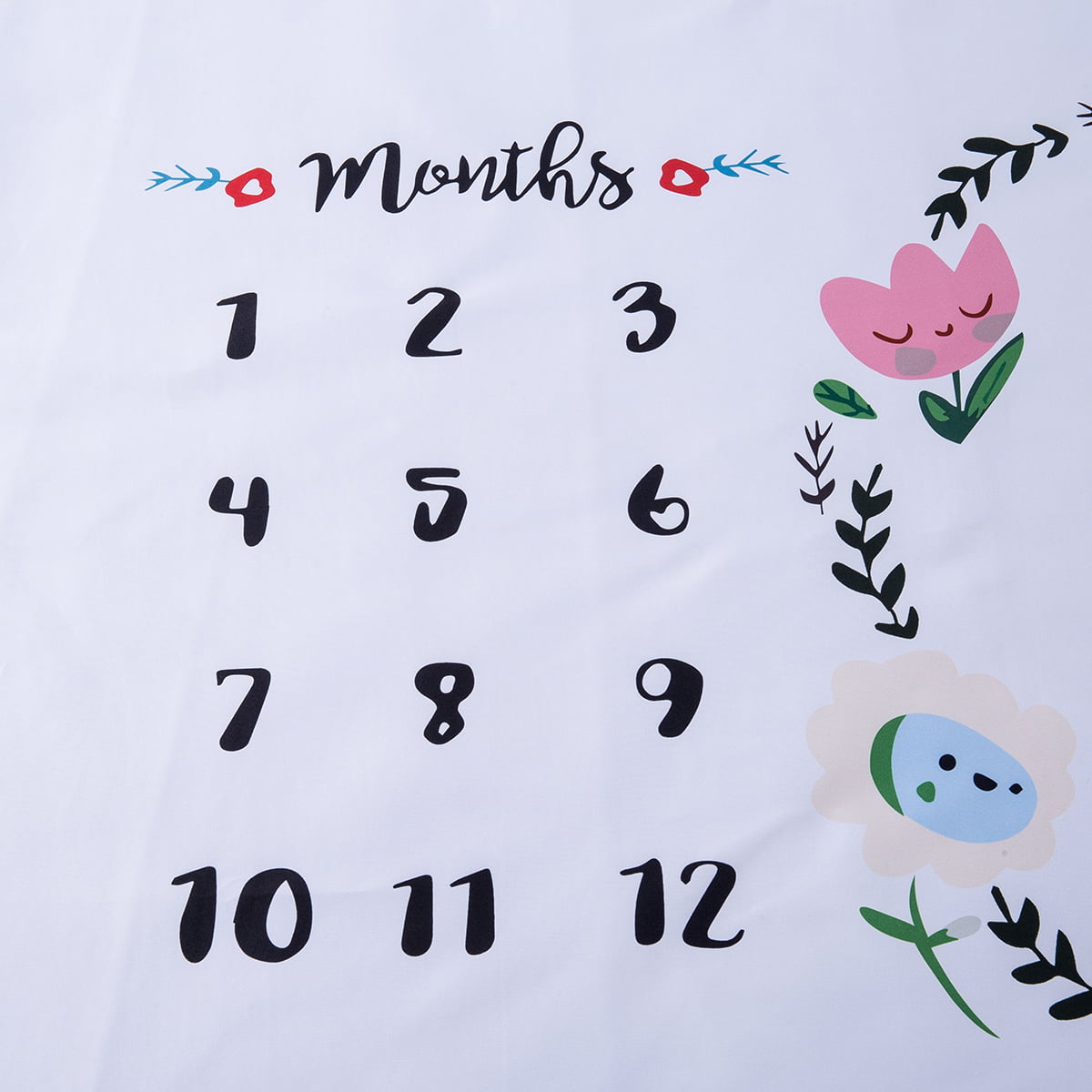 Milestone Photography Newborn Baby Blanket Monthly Flowers Numbers Photo set
