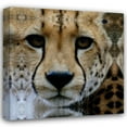 thumbnail image 1 of Dana Underdahl 36x36 Gallery Wrapped Canvas Wall Art Titled - Cheetah Portrait III, 1 of 4
