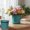Army Green 1M1, variant on Rvkxad Simple Style Plastic Flower Pot, 14x12cm Multi-Season Plant Pot for Indoor Outdoor, Flower Pot Plant Container
