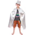 thumbnail image 2 of niño niña mago capa metálica capa disfraz plata Hugo Capa de bruja de Halloween, 2 of 8