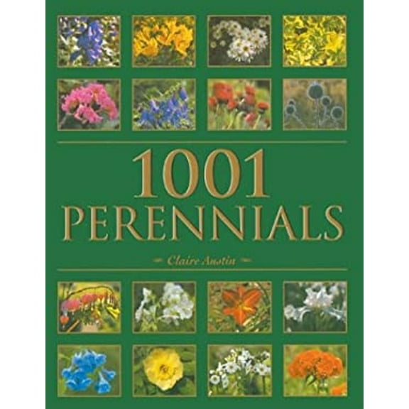 Pre-Owned 1001 Perennials (Paperback) 9780713488241