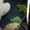Dark Green, variant on Compression Leggings for Women Autumn And Winter Artistic Printed Soft Stretchy Pants Green Fitness Clothing L