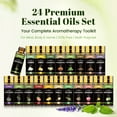 thumbnail image 2 of Aeshory Essential Oils Set for Diffuser, Aromatherapy, Humidifier, Massage, Candle Making - 5 ml/20 Pack, 2 of 7