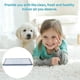 thumbnail image 3 of 4 Pack Vacuum Filters compatiblement compatible Roborock Xiaomi T7s T7s Plus S7, 3 of 5