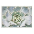 thumbnail image 5 of The Stupell Home Decor Collection Succulent Plant Gentle Morning Dew Painting Oversized Wall Plaque Art, 12.5 x 0.5 x 18.5, 5 of 5