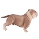 thumbnail image 3 of Juguetes de colección para perros, modelo de simulación de Bulldog, modelo de perro educativo, modelo de perro, decoración probada y confiable, 3 of 8
