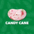 thumbnail image 2 of Jelly Belly Candy Cane 3.5oz Bag, 2 of 7