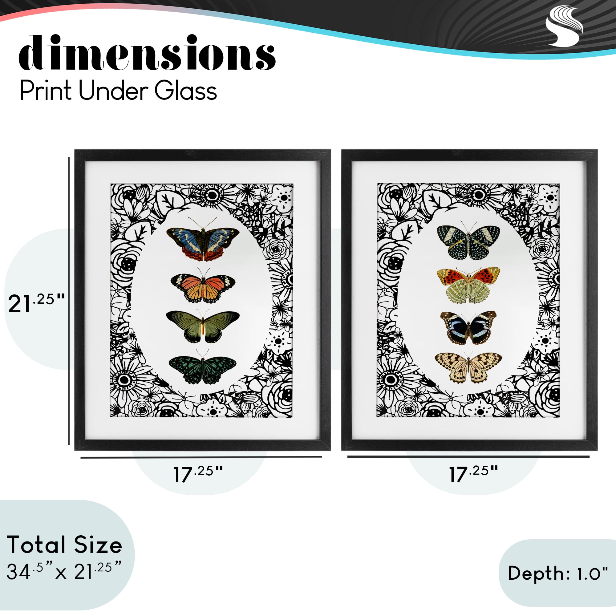 Stupell Industries Floral Butterflies Lineup 2 Piece Black Framed Print Under Glass Set, design by Dan Meneely