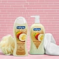 thumbnail image 2 of Softsoap Exfoliating Body Wash, All Skin Types, Coconut Butter, 20 fl oz Bottle, 4 Pack, 2 of 14