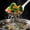 Sliver B, variant on Naittoop Stainless Steel Slotted Spoon 9in Integral Forming Resilient 304 Hangable Soup Spoon with Round Handle Cooking Spoon for Kitchen B