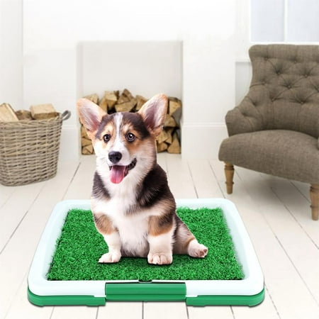 Yosoo Pet Potty Mat Grass Pad Dog with Mesh+Collection Puppy Potty Trainer Patch Tray Mat Pad Home Indoor Restroom Toilet Pee (Best Way To Toilet Train A Puppy)