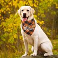 thumbnail image 3 of 2 piezas de bufanda para perros de Acción de Gracias Toalla para escupir de calabaza para mascotas Toallita para perros MFZFUKR CPB-US-FXT64-2, 3 of 5
