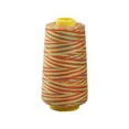 thumbnail image 1 of relayinert Fil à Broder Multicolore en Polyester Facile à Utiliser pour Bricolage Durable Longue Durée Polyvalent Coloré type 2, 1 of 6
