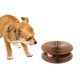 thumbnail image 3 of Alfombrilla rascadora para muebles, suministros de muebles para mascotas para y animales de interior, alfombrilla rascadora de Yuyangstore  Almohadilla para rascar gatos, 3 of 8