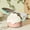 Pink-Free Size/PK, variant on Knife Sharpener With Non Slip Base Double Sided Blade Grinding Tool Kitchen Sharpening Stone Alternative for Chef Knife Cleaver Pocket Knife Camping Cooking Meat Prep Kitchen Accessories Daily Use