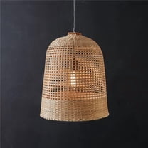 CTW Home 470025 Industrial Virginia Pendant Lamp