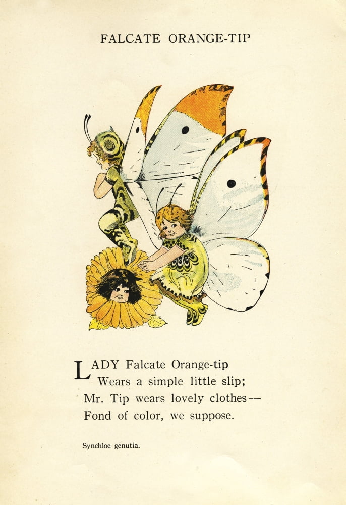 Butterfly Babies 19