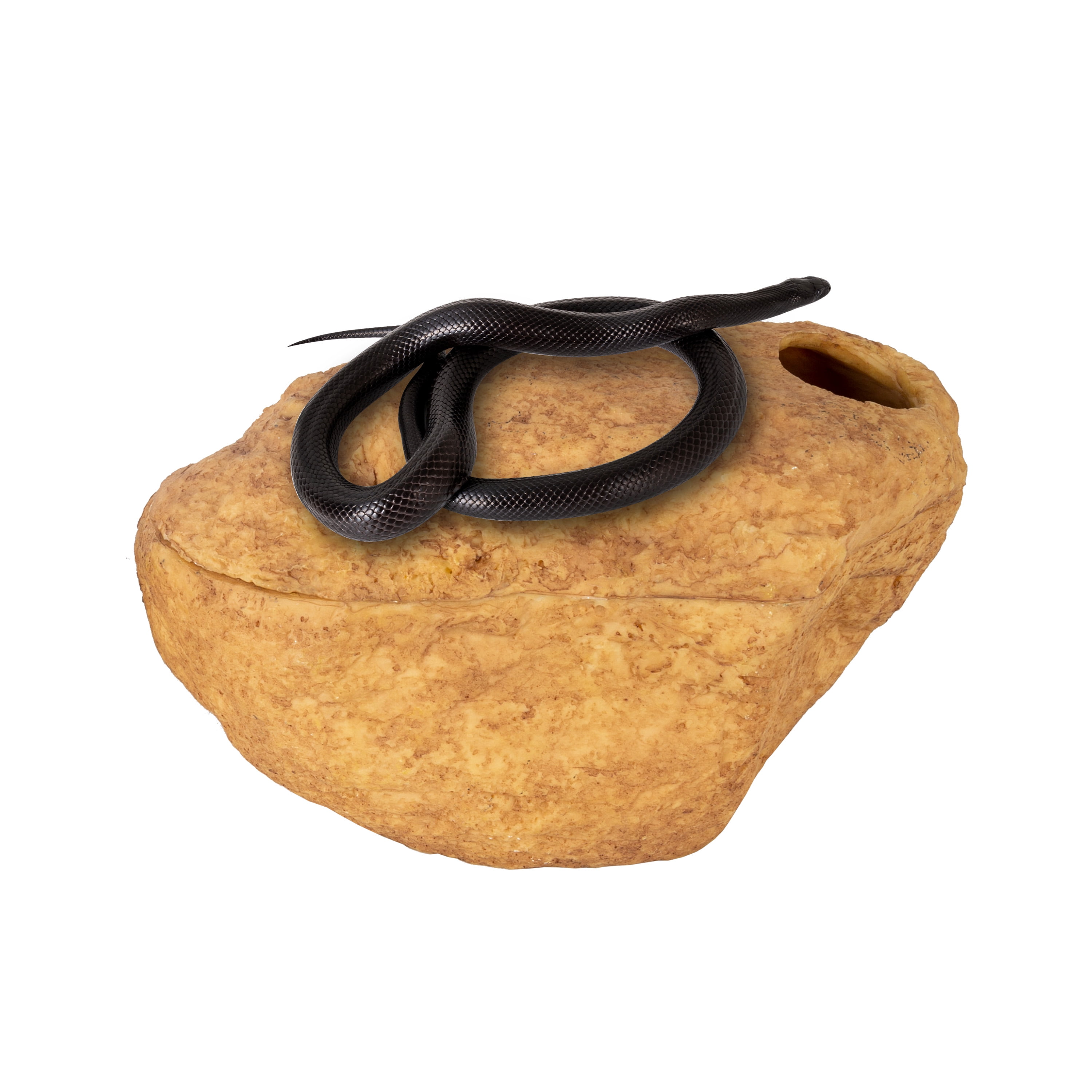 REPTIZOO Reptile 3-in-1 Magnetic Attraction Cave for Snake, Ball Python