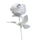 thumbnail image 1 of Ramo de mano de esqueleto de Halloween con rosas y ojos de calavera | Arreglo floral espeluznante para decoración terrorífica, 1 of 2