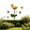 Gold, variant on Outdoor Iron Bird Feeder for Courtyard Garden Decor, Weather-Resistant, Durable Design for Long-Lasting Bird Foraging Blue