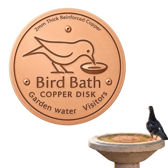 Bird Bath Copper Disk