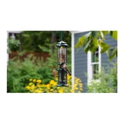 Brome Squirrel Buster Squirrel-Proof Bird Feeder for Nuts