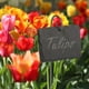thumbnail image 2 of Ensemble de 10 étiquettes de plantes en ardoise et ardoise Marqueurs de plantes de jardin Étiquettes d'herbes Accessoires de serre M&W esquí esquí Gafas de esquí, 2 of 5