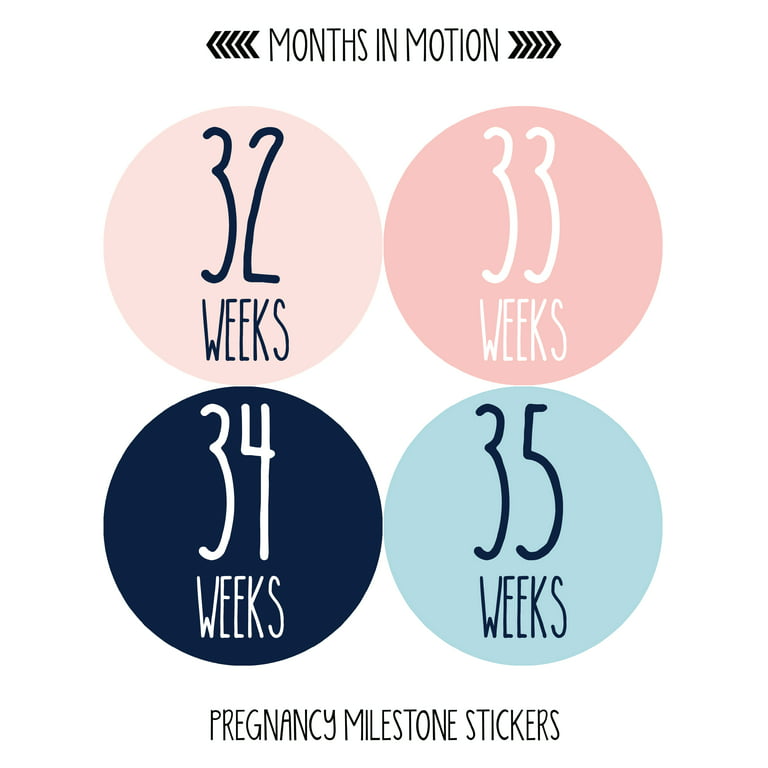 Essentials Pregnancy & Baby Planner Stickers (set of  