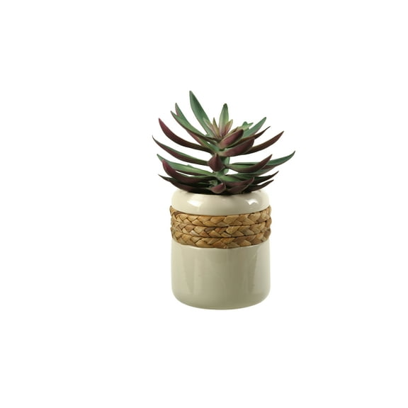 D&W Silks Green and Plum Echeveria in Ceramic Planter