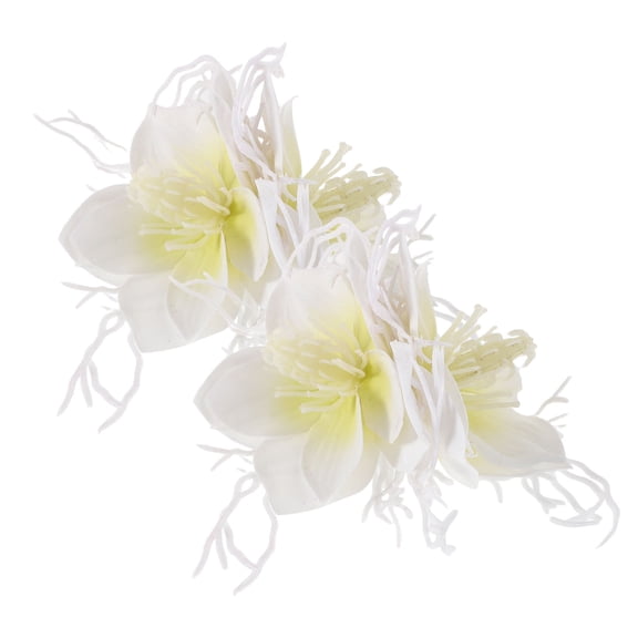 WEUVEB 2 Pcs Hawaiian Accessories Hair Clips For Styling Women For Social Occasions