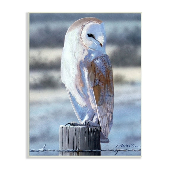 Stupell Industries Serene Barn Owl Perched Snow Dusted Fence Photograph Unframed Art Print Wall Art, Design by Alan Weston