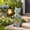Cat, variant on Owl Solar Garden Statue with Succulent Decor and Hanging Lantern for Patio Yard Balcony
