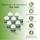 thumbnail image 5 of Bálsamo labial Chap-Ice Mini 50 unidades SPF-15 3 sabores, 5 of 9