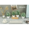 thumbnail image 3 of 4 Packs Fake Plants Mini Artificial Greenery Faux Plants Indoor for Home Office Farmhouse Bathroom Decor, 3 of 5
