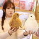thumbnail image 4 of Kiwi Bird Plush Toy - Realistic New Zealand Stuffed Animal Doll, Soft Cloth Art Toy for Kids Collection, 4 of 5