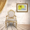 thumbnail image 3 of Paulson, Don 14x11 Gold Ornate Wood Framed with Double Matting Museum Art Print Titled - Washington, Seabeck Flowering vine maple leaf, 3 of 4