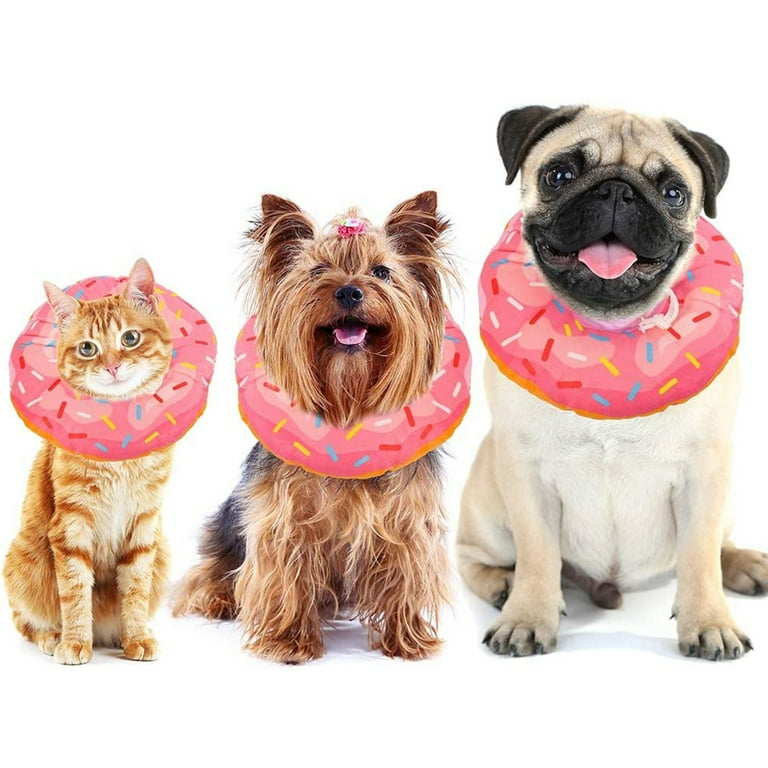 E collar hot sale for dogs walmart