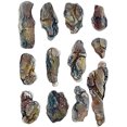 thumbnail image 1 of Yeso superresistente Woodland Scenics C1199 Woodland Scenics 0724771000000, 1 of 1