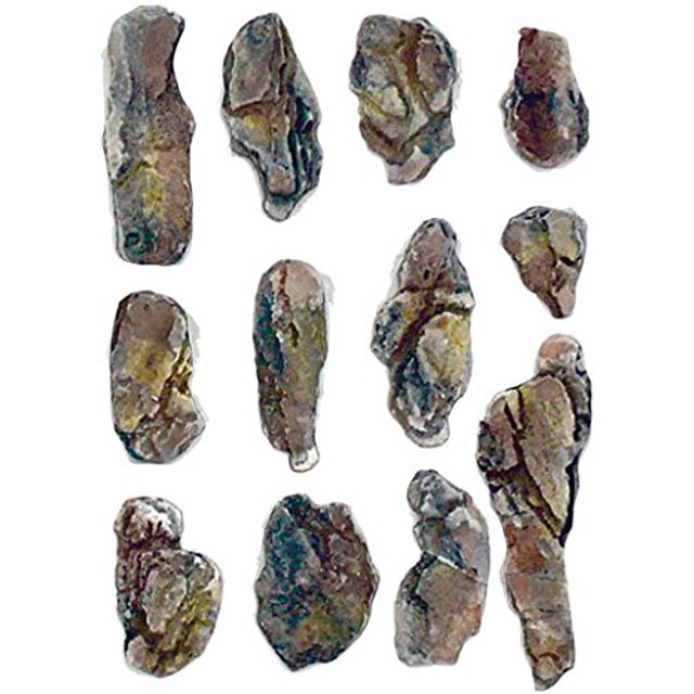 Yeso superresistente Woodland Scenics C1199 Woodland Scenics 0724771000000