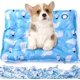 thumbnail image 1 of Cooling Mat for Cats and Dogs 15.7 X 19.7 Inch, Pet Cooling Mats, Water Injection Puppy Cooling Mat for Summer, Easy Washable Cooling Pad for Dog, Keep Your Furry Friends Cool Indoor & Outdo, 1 of 5